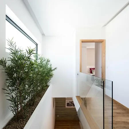 Gallo's House バルセロス