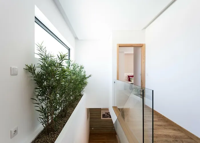 Gallo's House 바르셀로스